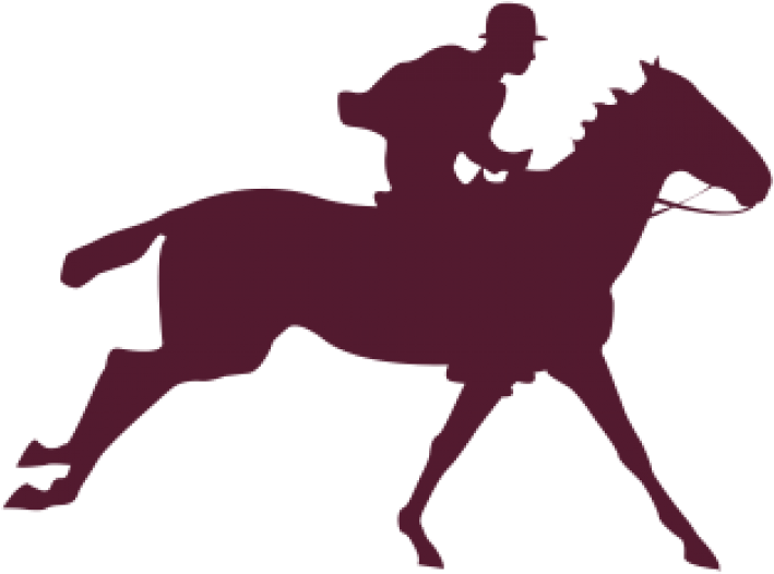 Horse Racing (800x800)