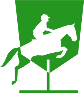 Jezdziectwo - Stallion (400x400)