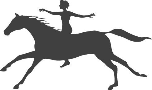 Silhouette (491x292)