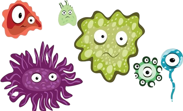 Virus Png - Virus Vector (644x362)