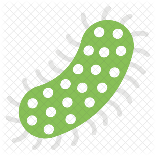 Protozoa Icon - Icon (512x512)