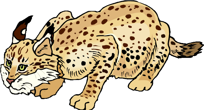 Clip Art (750x380)