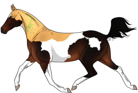 Image - Foal (478x333)