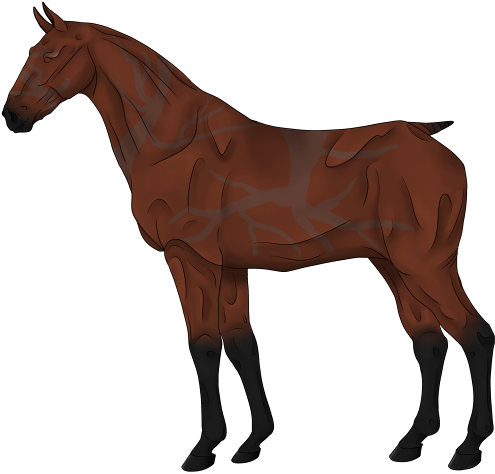 Copper Bay Tribal - Archive (500x500)