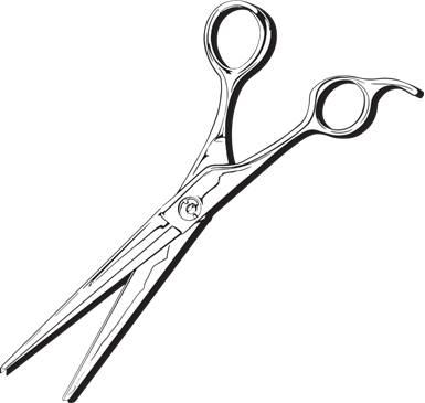 Haircut Shears - Scissors (385x365)