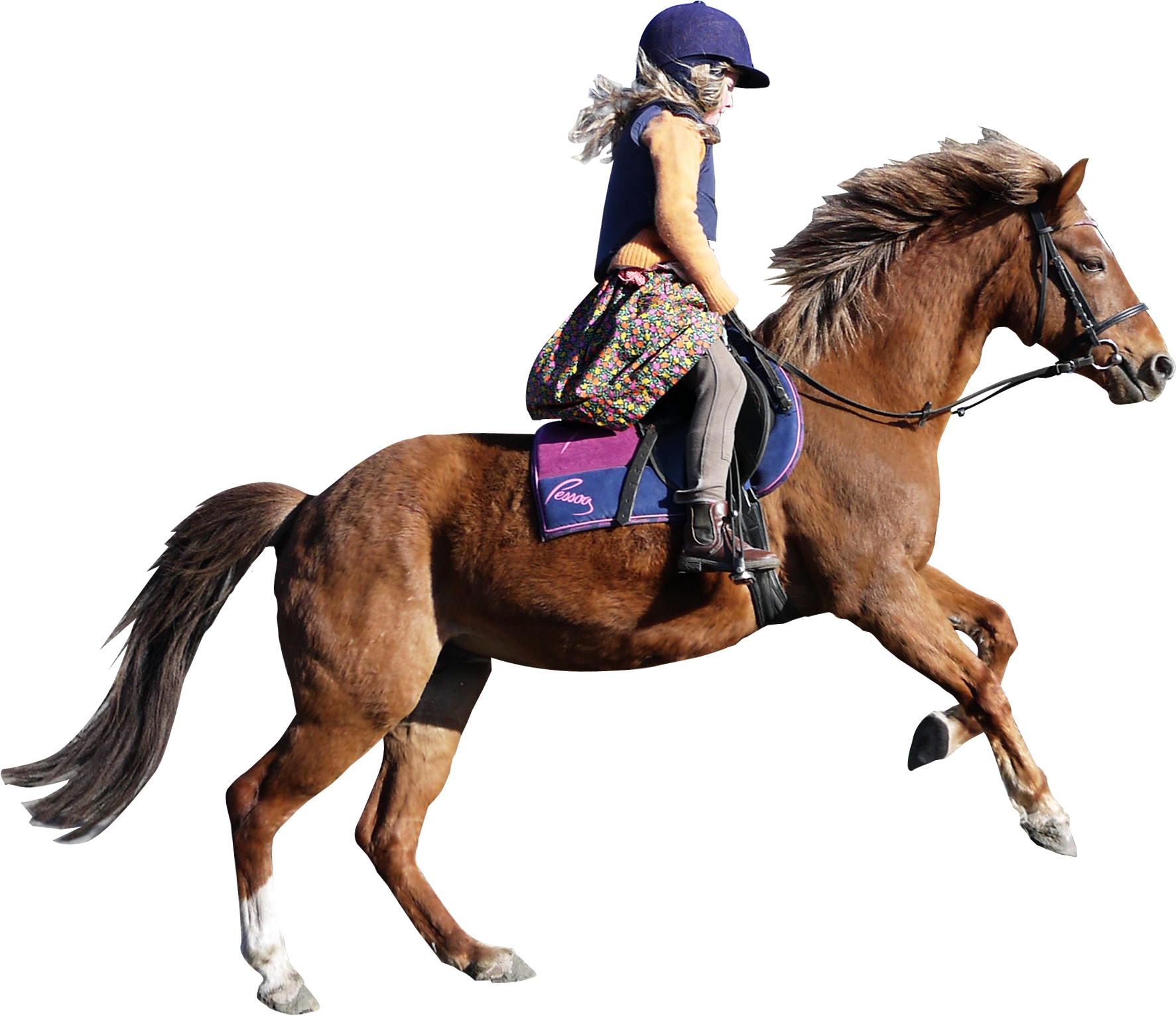   Horse (1773x1532)