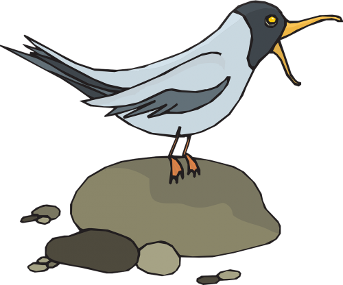Screech Clipart (500x416)