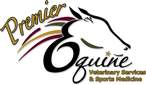 Veterinary Physician (500x348)