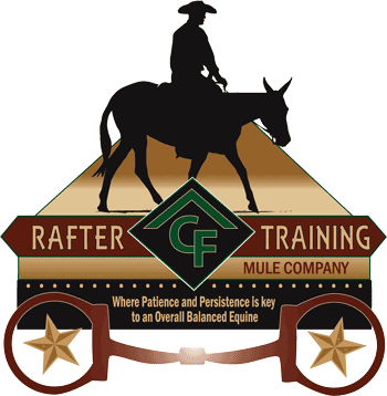 About - Rafter (350x358)
