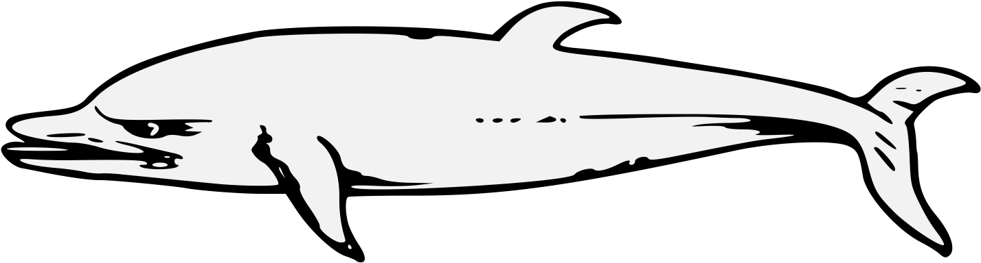 Dolphin - Dolphin (1453x405)