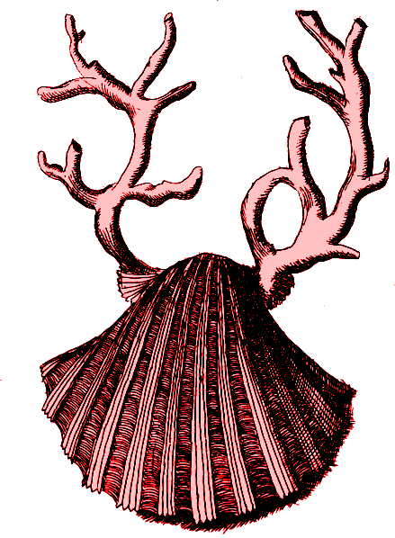 Non - Royal Dutch Shell (439x598)