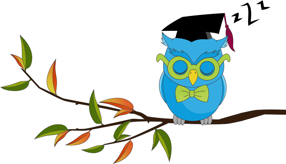 Payment - Wise Owl Animated Gif (914x573)