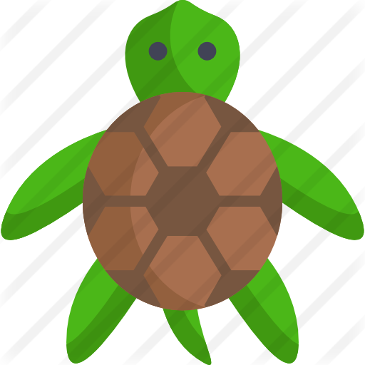 Turtle - Chelonoidis (512x512)