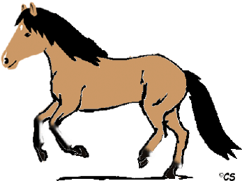 Allen Pferden - Galopp (400x306)