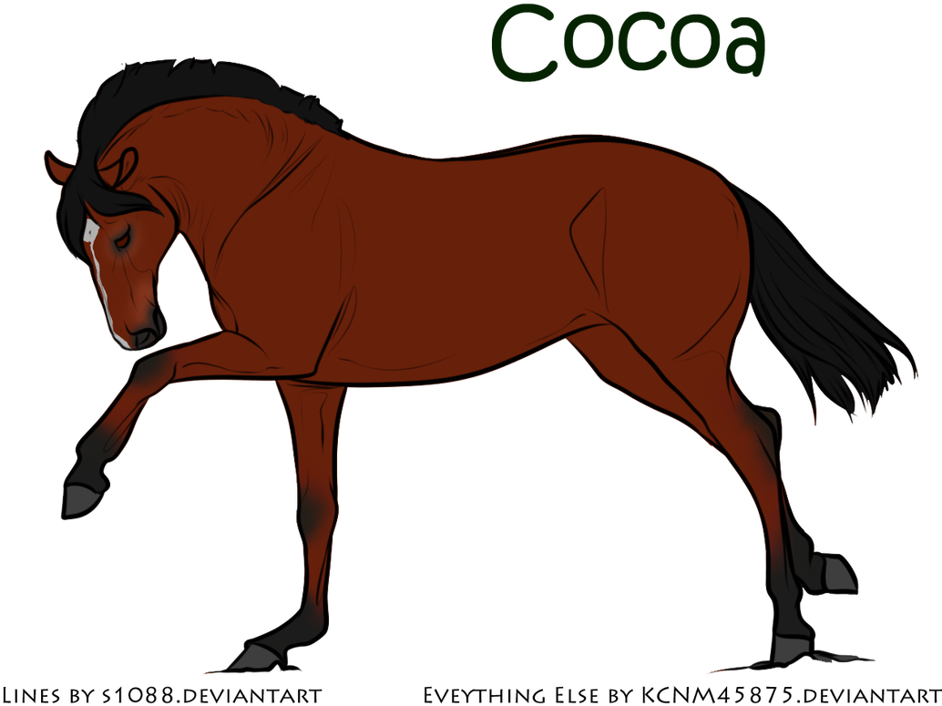 Picture - Stallion (1040x800)