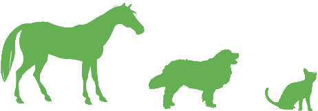   Mane (619x223)