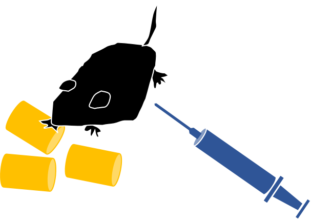 References - Portable Network Graphics (607x429)