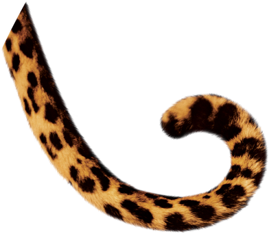 Tail Clipart - Tail Clipart (400x347)