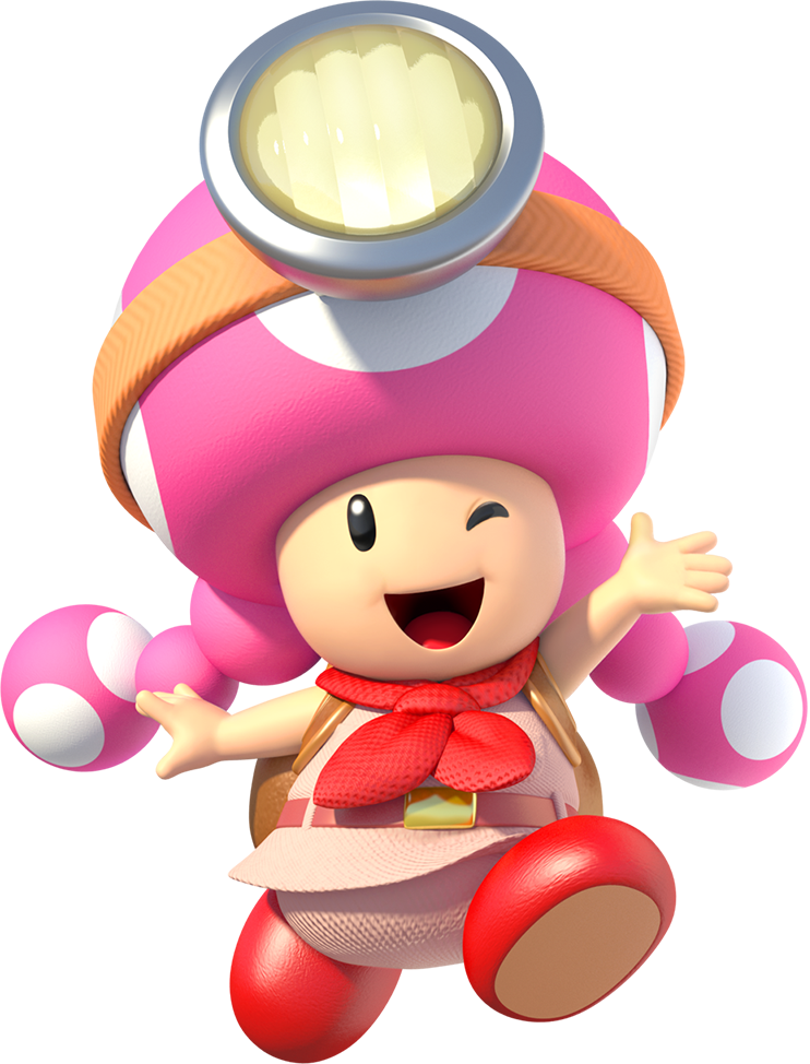 Toadette Toadette - Nintendo Toadette (742x974)
