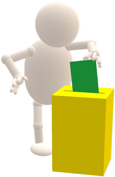 Election (484x720)