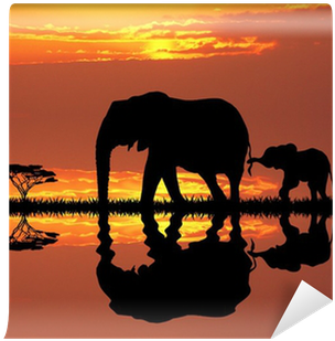 Elephants (400x400)
