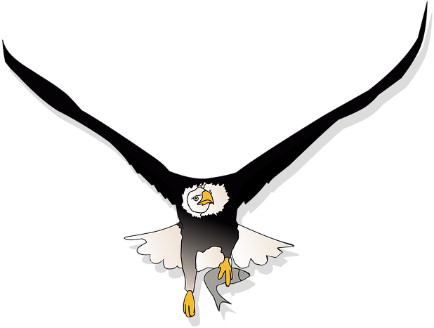 Bald Eagle (640x640)