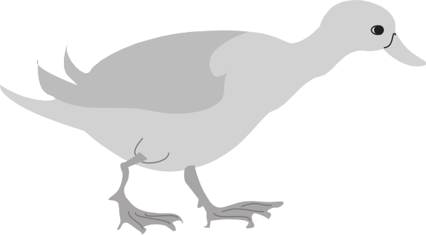 Bird (600x331)
