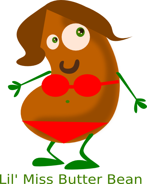 Pinto Bean Clipart (474x594)