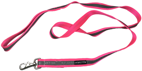 Chew Proof Dog Leash - Leash (500x261)