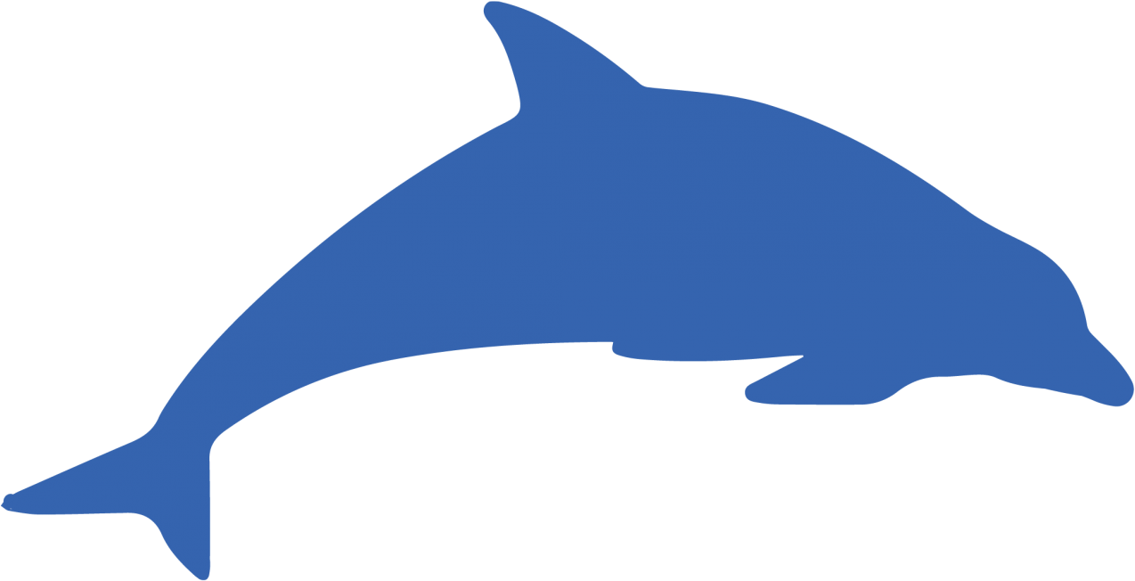 Dolphins Clipart Walking - Dolphin (1280x1280)