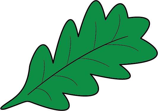 Leaf Clip Art - Leaf Clip Art (533x376)