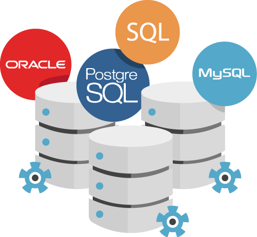 Database Clipart Software Design - Database Development (521x480)