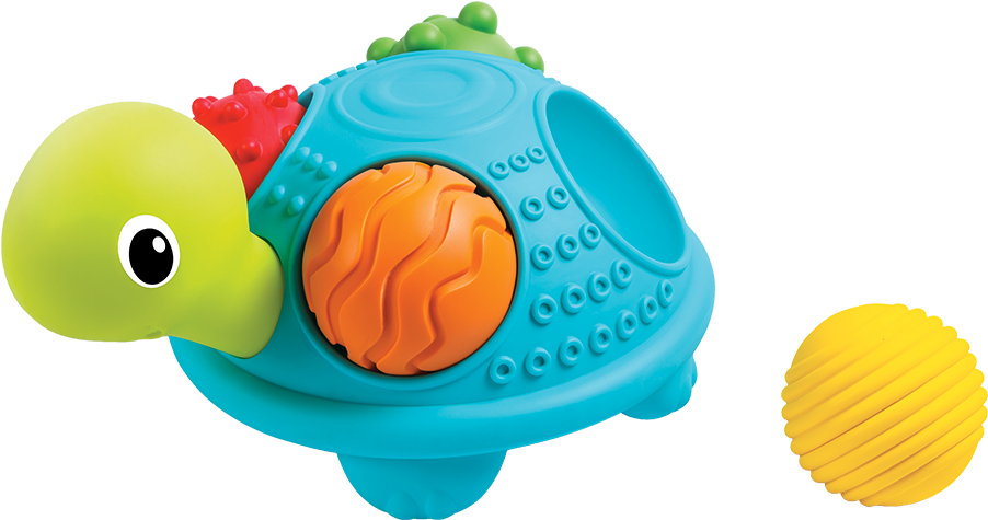 Senso' Turtle - Bkids Senso Turtle (1000x1000)