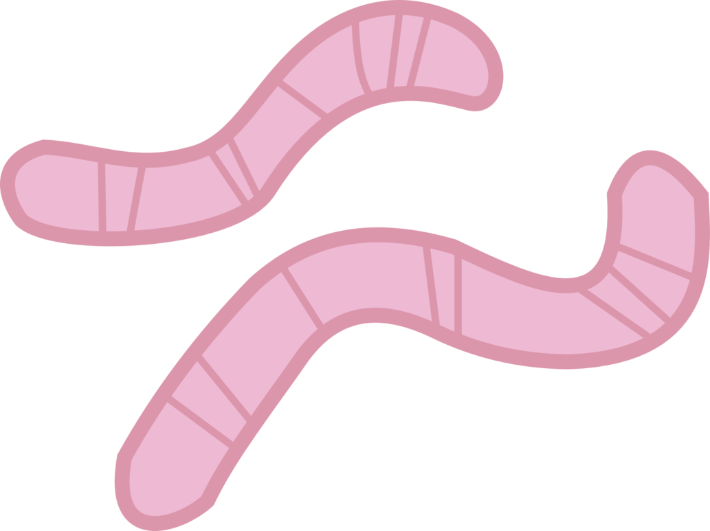 Worms Vector By Didiwork - Digital Art (1033x773)