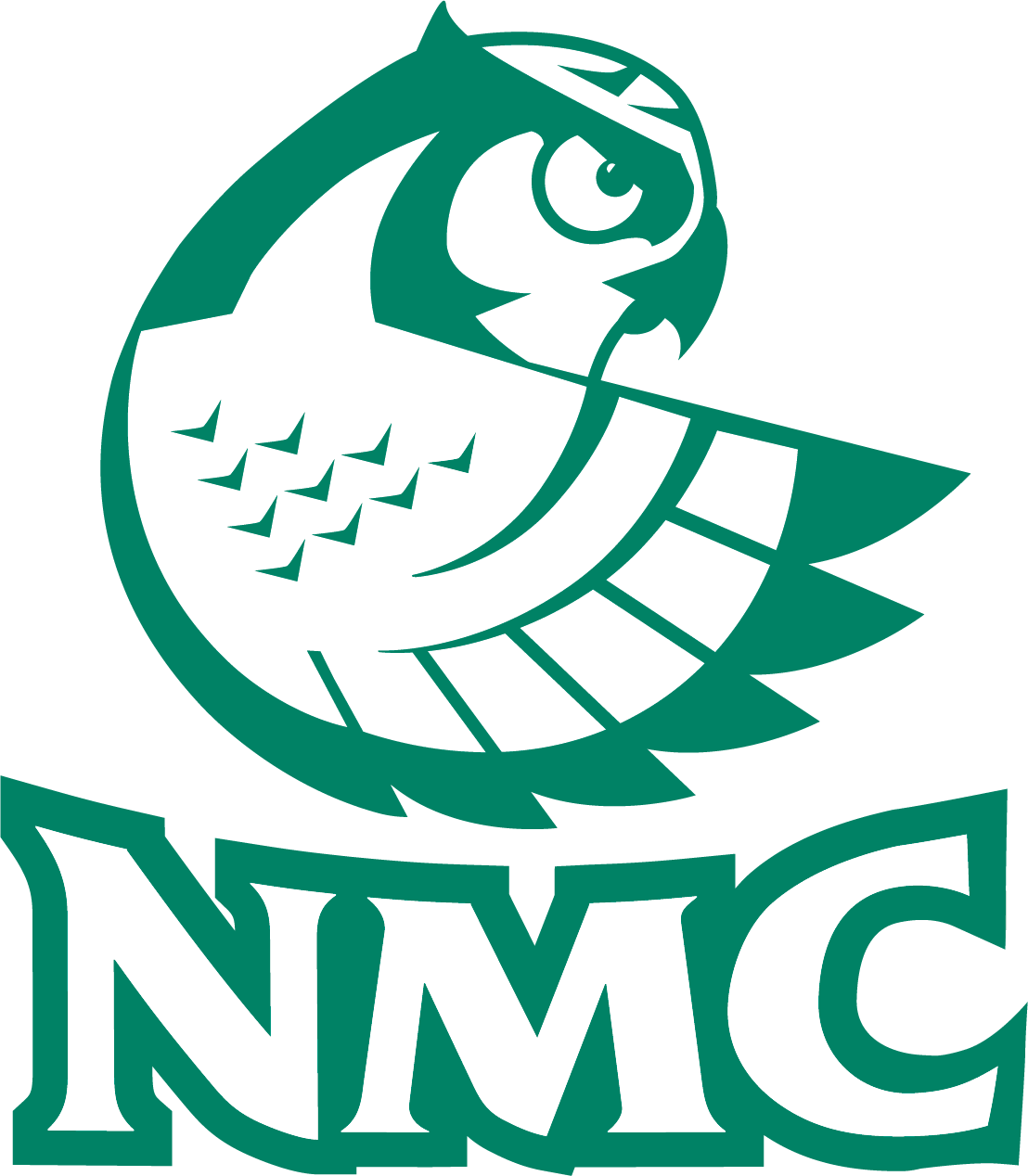 Nmc Foundation - Nmc Hawkowl (1108x1268)