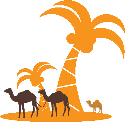 City Tours - Coconut (426x424)