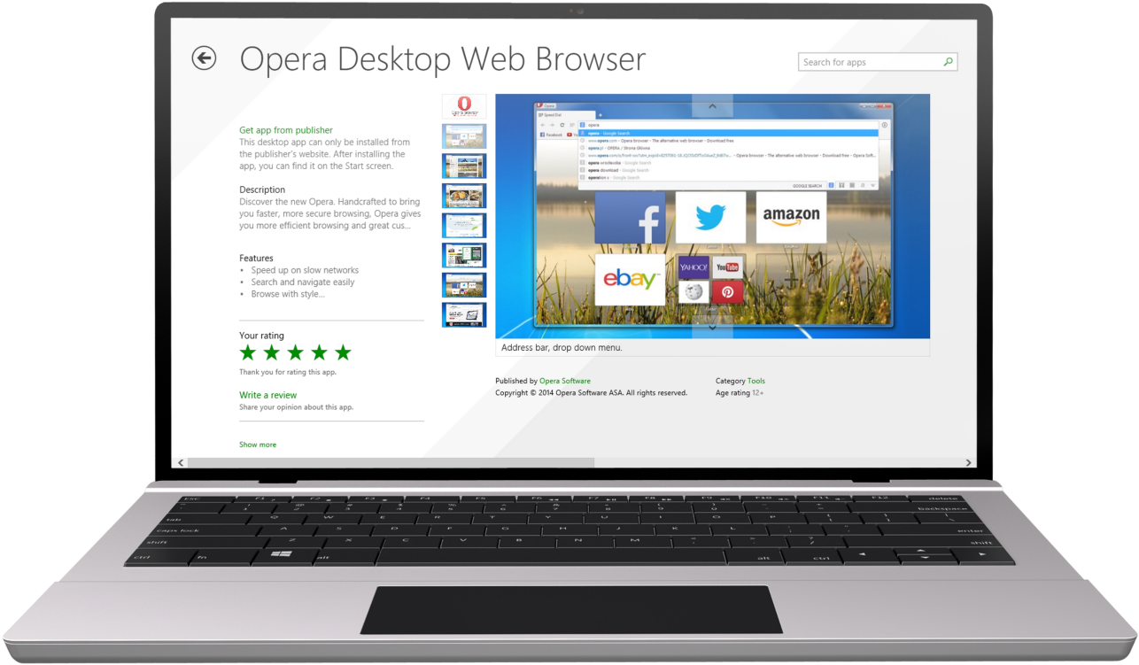 Netbook (1500x964)