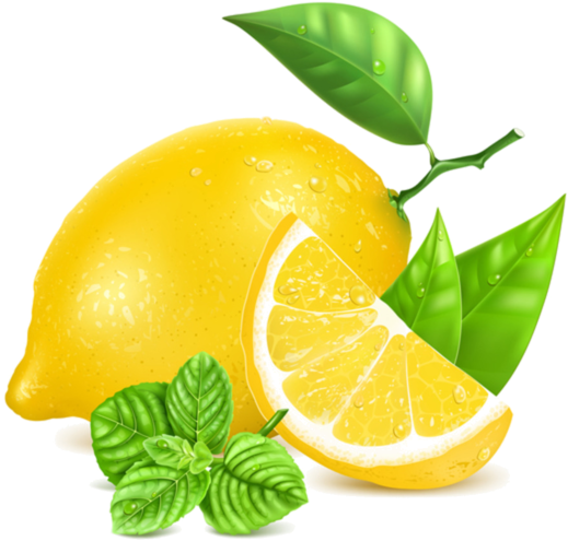 Лимоны,фрукты - Lemon And Mint Vector (600x550)
