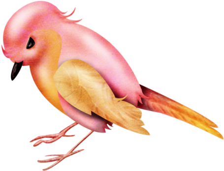 Lovebird (645x525)