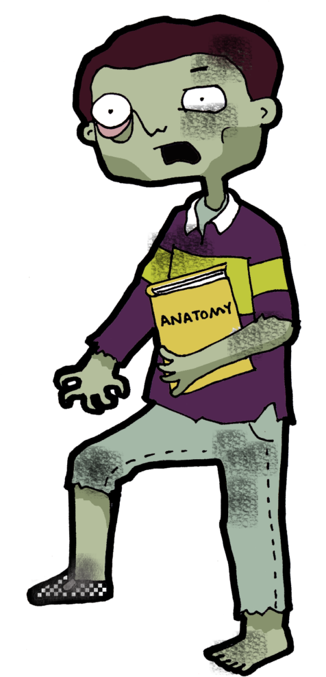 Classroom Management Zombie - Linear Equation (482x1024)
