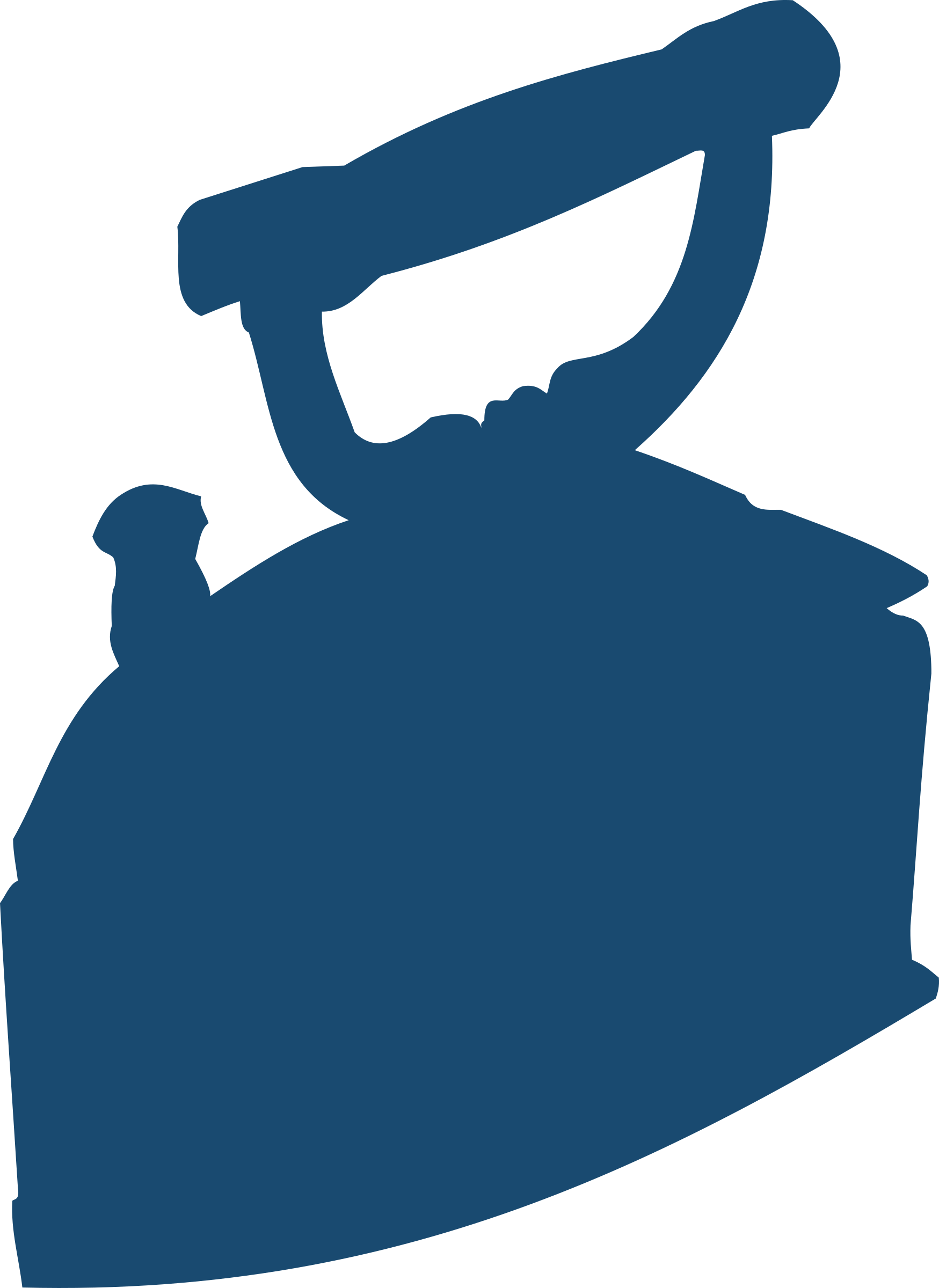 Iron - Iron Silhouette (1749x2400)
