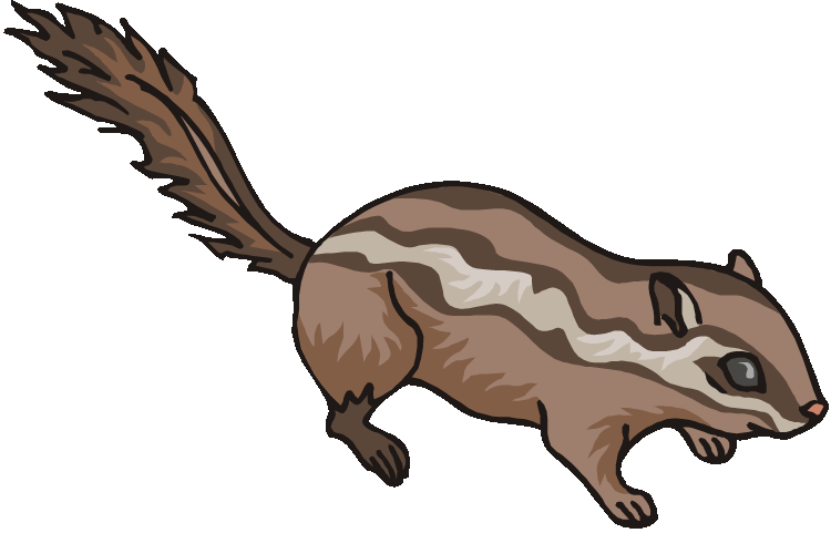 Chipmunk Clipart Small Squirrel - Chipmunk (750x481)