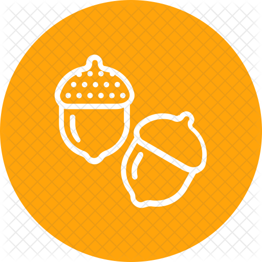 Acorn Icon - Icon (512x512)