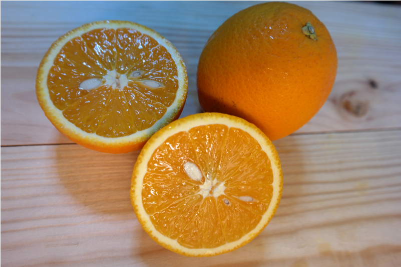 Valencia Orange - Orange (800x800)