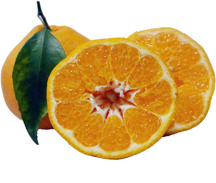   Citric Acid (800x800)