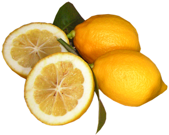 Lemon (434x340)