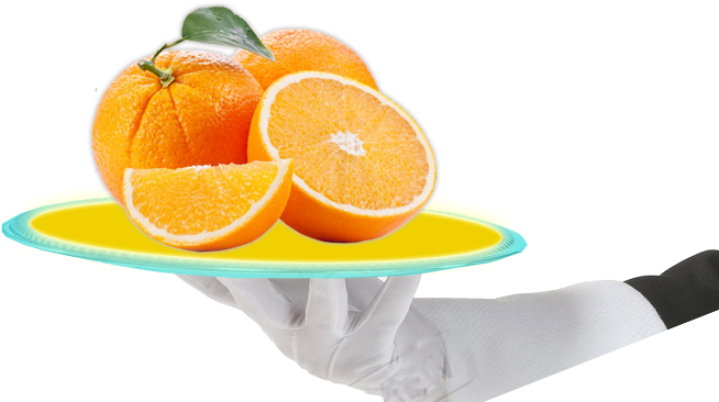 Welcome - Clementine (993x425)