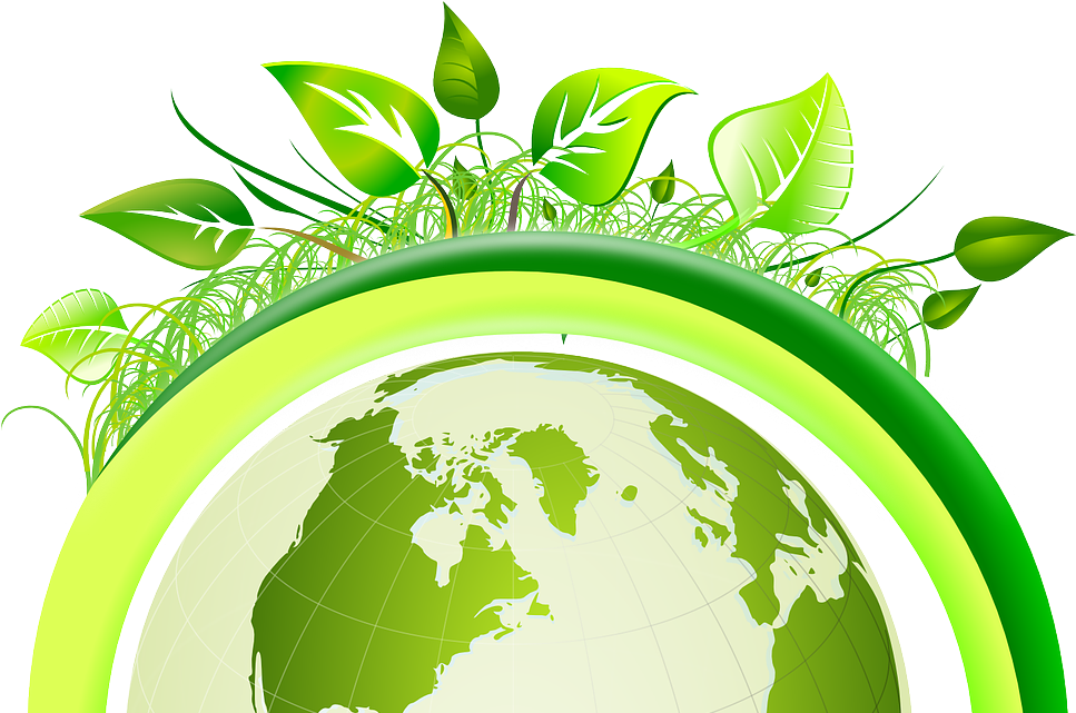 Going Green Classroom Study - Save Trees Save Earth (975x640)
