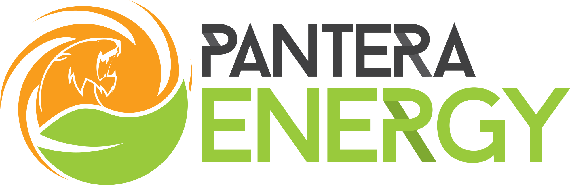 Pantera Energy (2000x700)