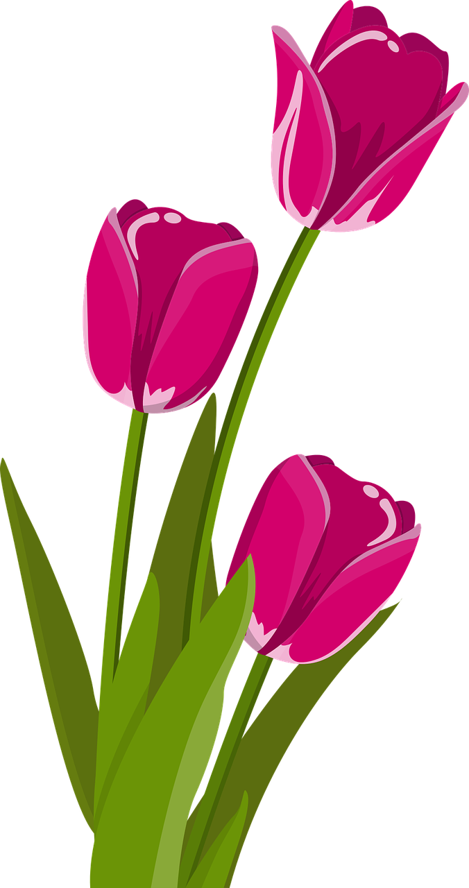 April - Bunga Tulip Vektor (676x1280)